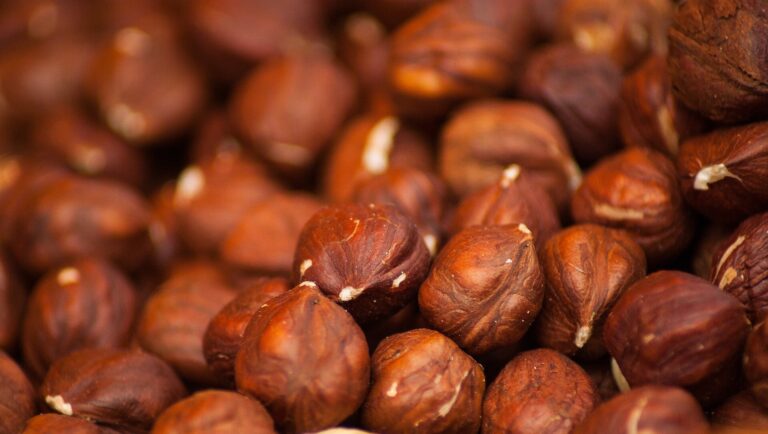 Can Birds Eat Hazelnuts