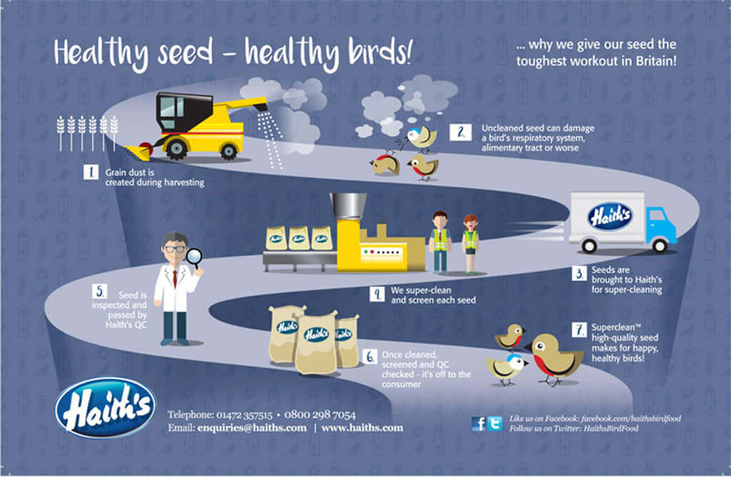 Can Humans Eat Bird Food