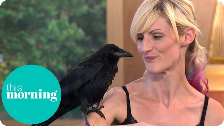 Can You Own a Crow As a Pet