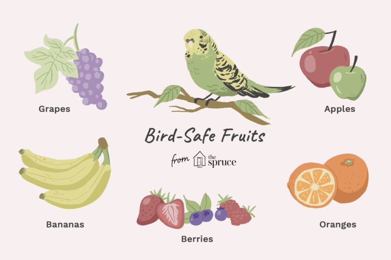 Do Birds Eat Grapes