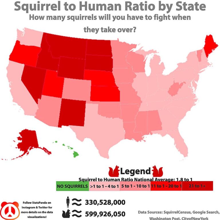How Many Squirrels are in the United States