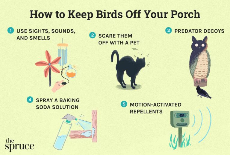 How to Keep Birds off My Patio