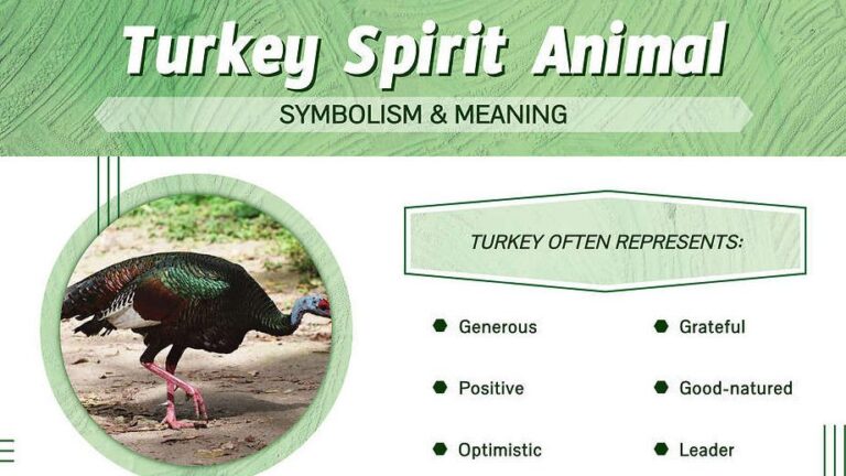 What Do Turkeys Represent