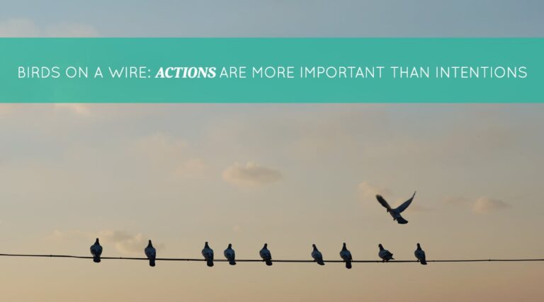 What Does Bird on a Wire Mean