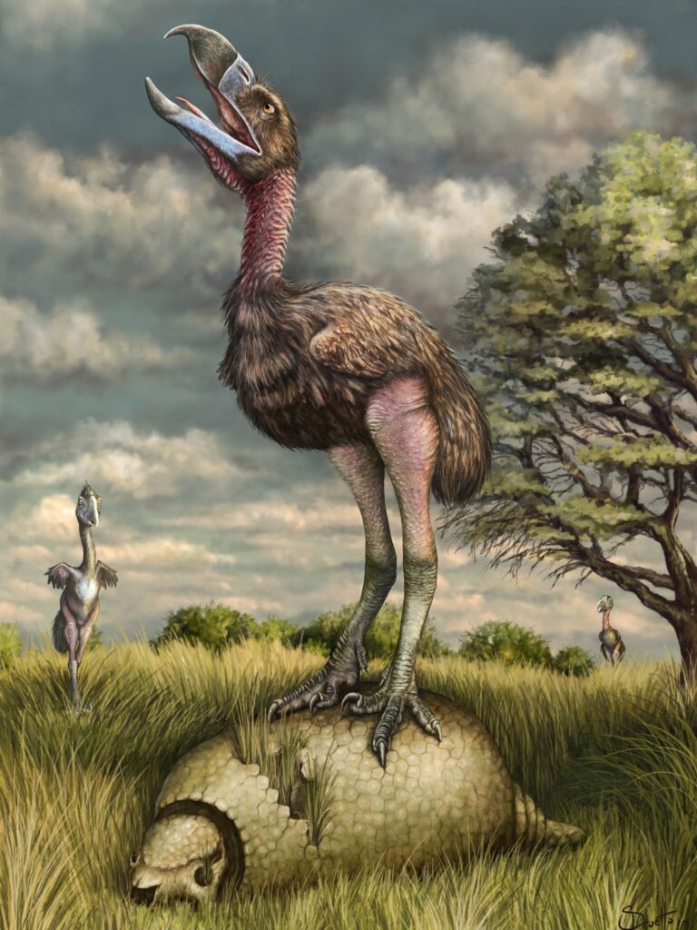 What is a Terror Bird