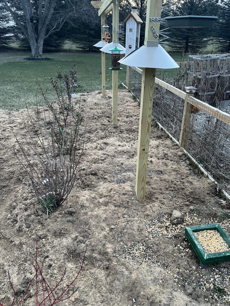 What to Put under a Bird Feeder