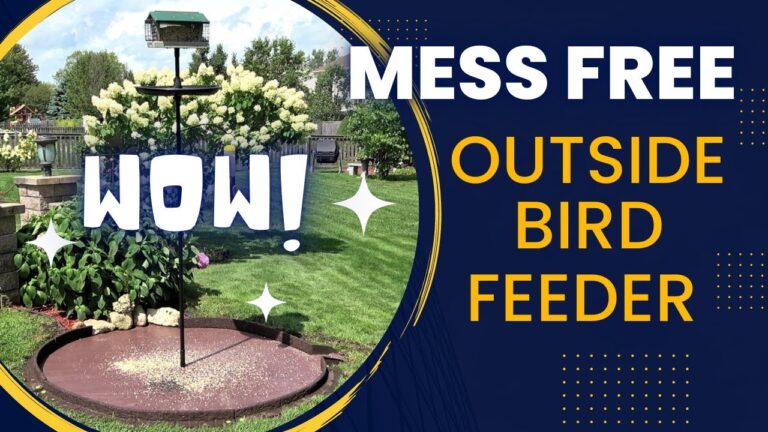 What to Put under Bird Feeder