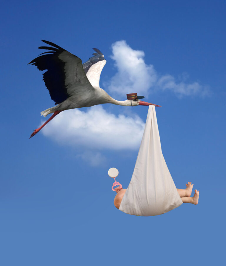 Where Did the Stork Story Come from