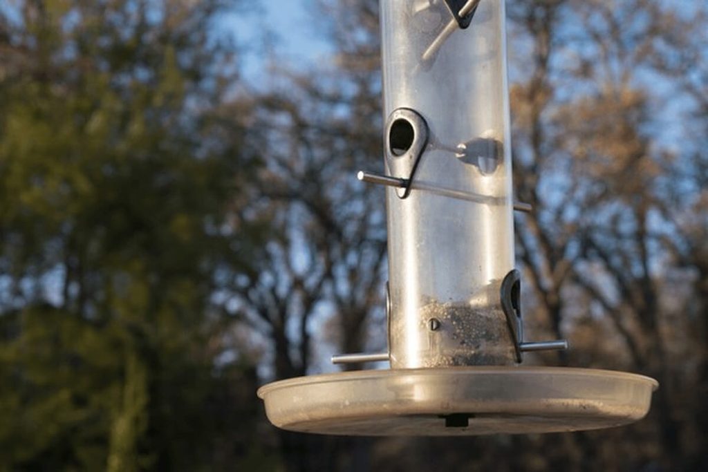 close-up of a clear seed tube with feeding ports on a bird feeder