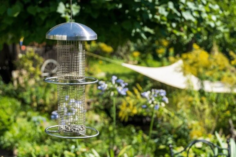 bird feeder pole with a cylinder squirrel baffle in an open yard