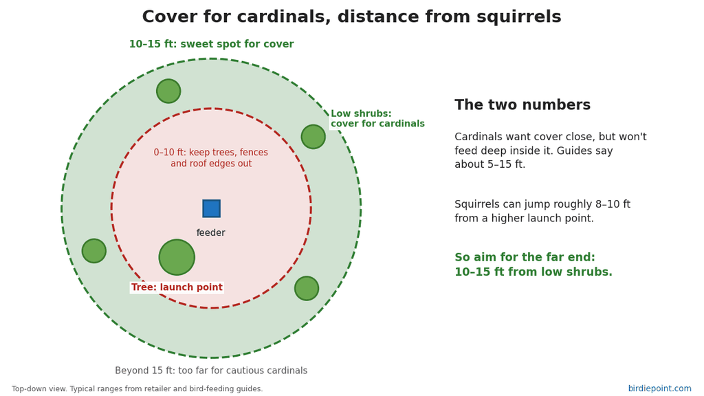 top-down diagram showing low shrubs 10 to 15 feet from a feeder as cover for cardinals, with a tree inside 10 feet marked as a squirrel launch point